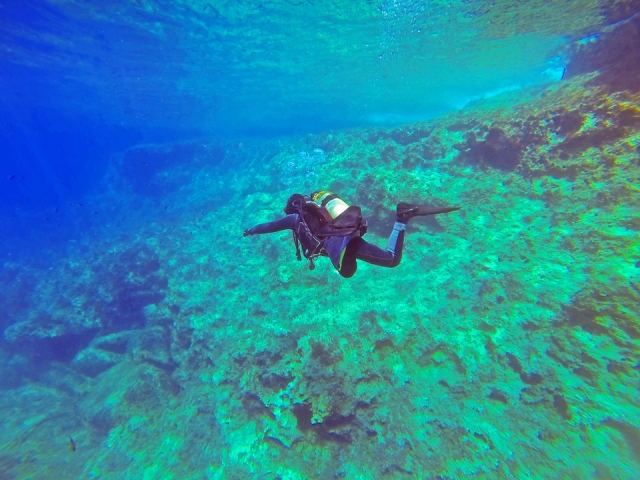  diving 
